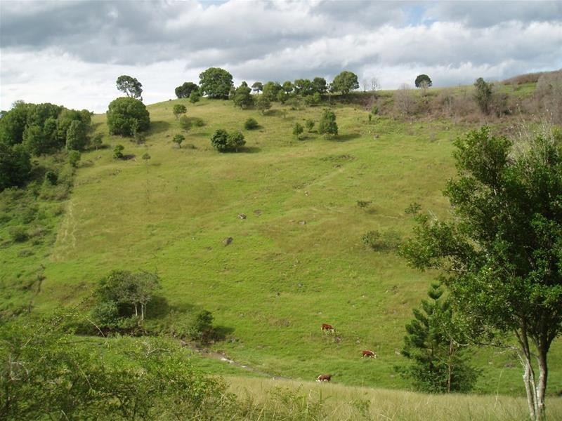 57 James Road, Goonellabah NSW 2480