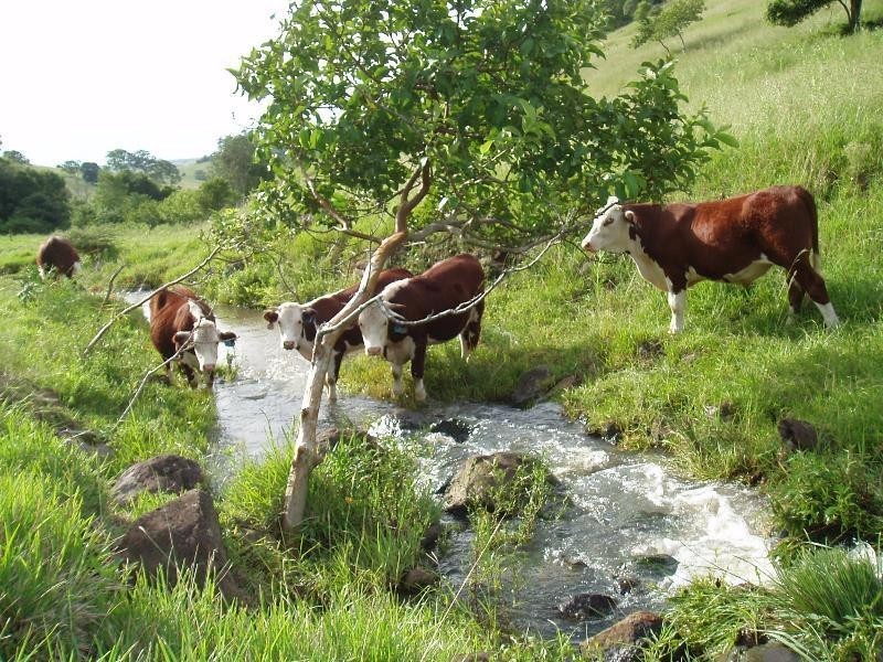 57 James Road, Goonellabah NSW 2480