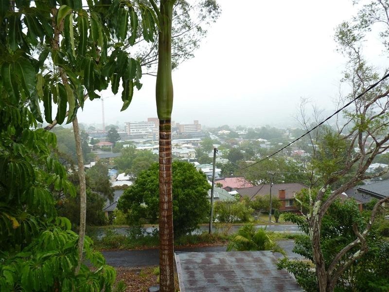 12 Eric Place, Lismore Heights NSW 2480