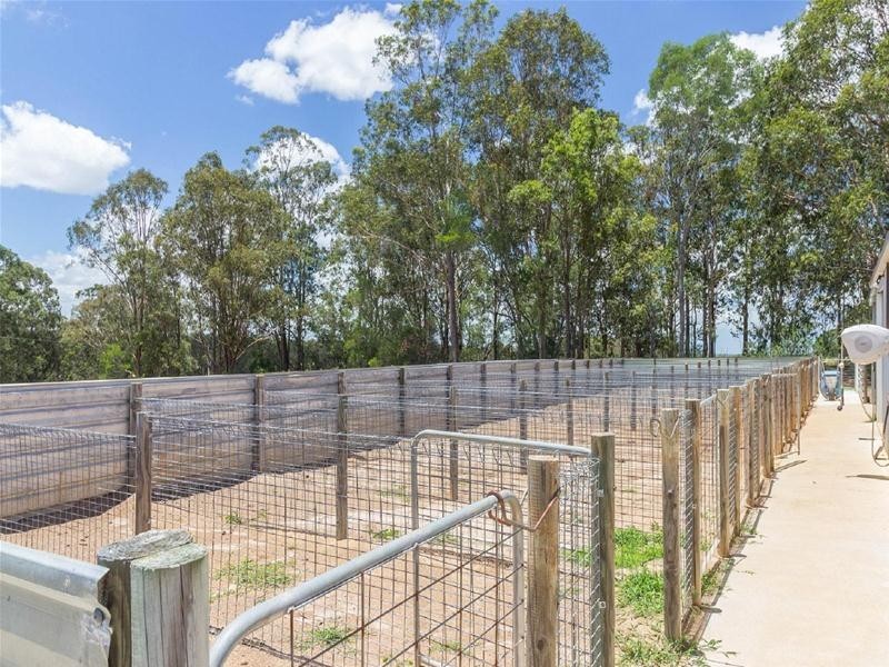 860 Ellangowan Road, Yorklea NSW 2470