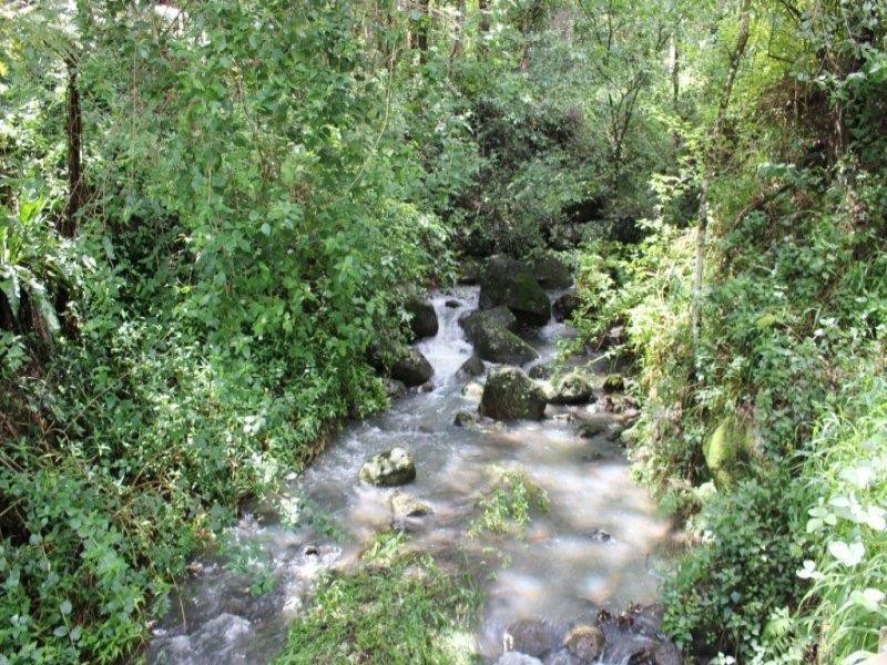 7/929 Blue Knob Road, Nimbin NSW 2480