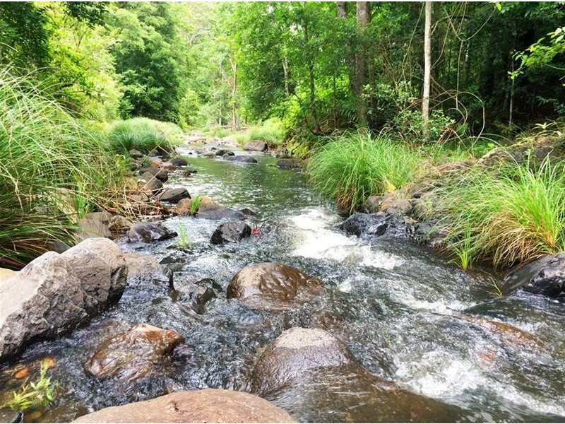 508 Gungas Road, Nimbin NSW 2480