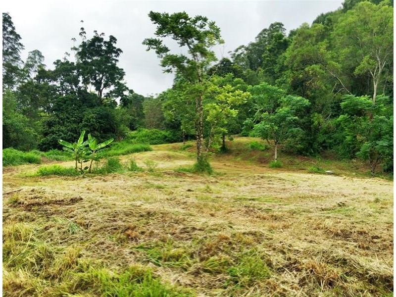 508 Gungas Road, Nimbin NSW 2480