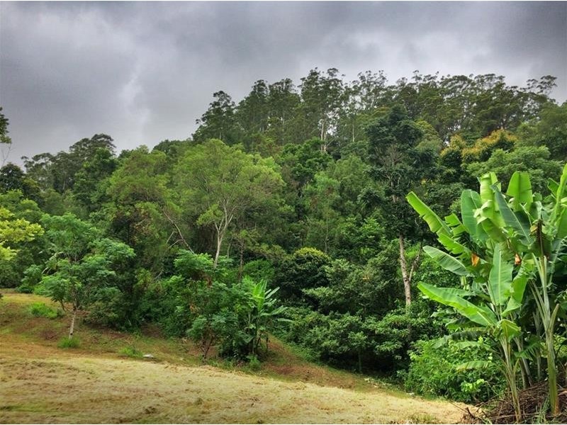 508 Gungas Road, Nimbin NSW 2480