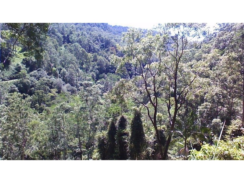 508 Gungas Road, Nimbin NSW 2480