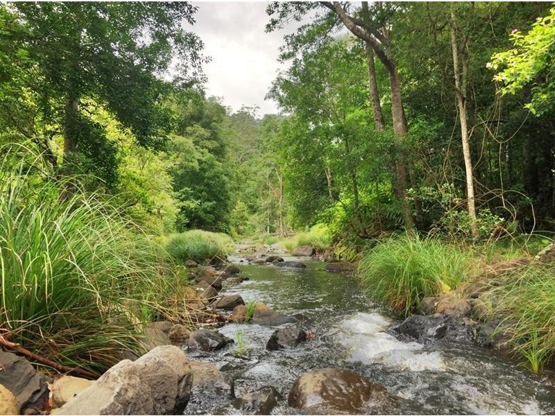 508 Gungas Road, Nimbin NSW 2480