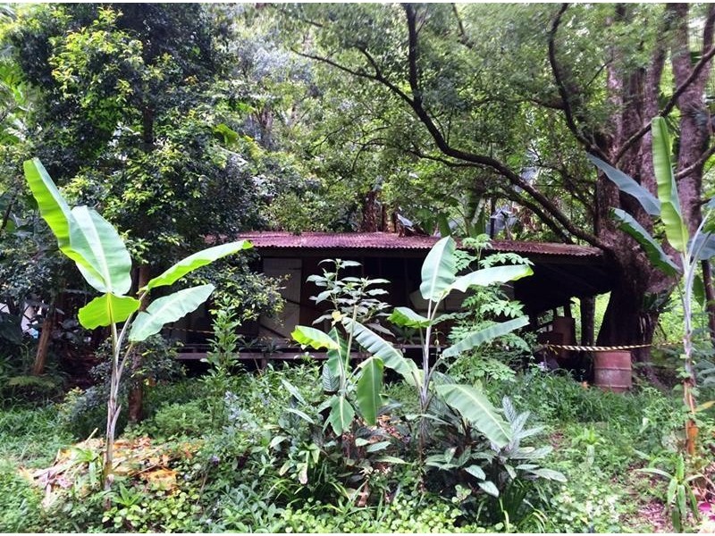 508 Gungas Road, Nimbin NSW 2480