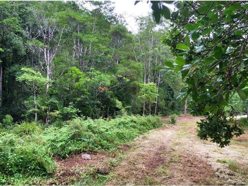 508 Gungas Road, Nimbin NSW 2480