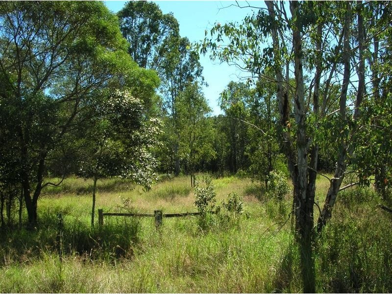 1555 Ellangowan Road, Ellangowan NSW 2470