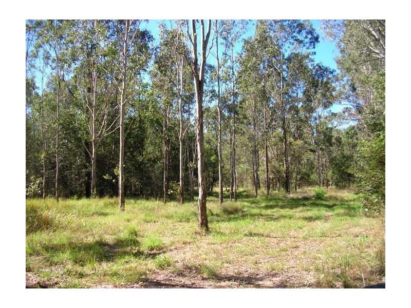 1555 Ellangowan Road, Ellangowan NSW 2470