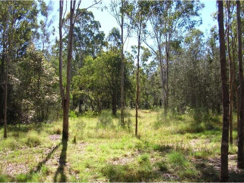 1555 Ellangowan Road, Ellangowan NSW 2470