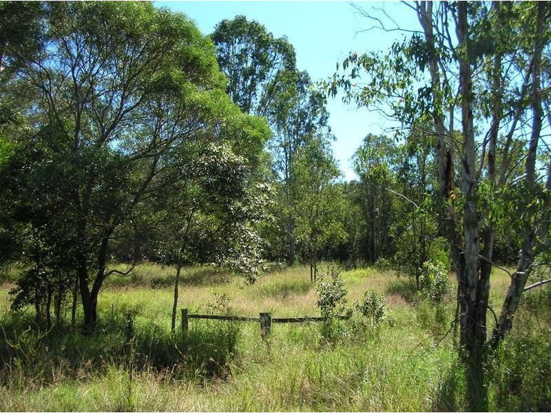 1555 Ellangowan Road, Ellangowan NSW 2470