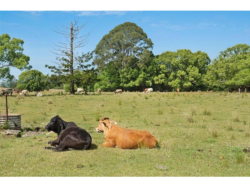 13 Fathers Road, Booerie Creek NSW 2480