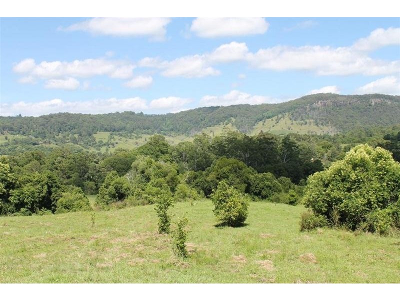 100 Bishops Creek Road, Coffee Camp NSW 2480