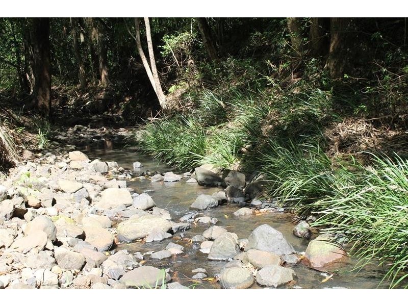 100 Bishops Creek Road, Coffee Camp NSW 2480