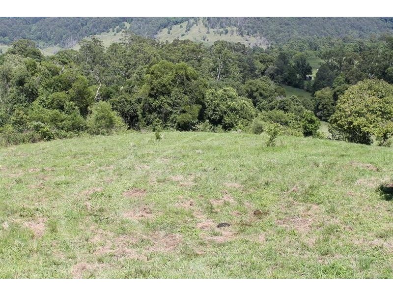 100 Bishops Creek Road, Coffee Camp NSW 2480