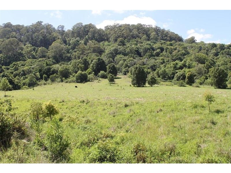 100 Bishops Creek Road, Coffee Camp NSW 2480