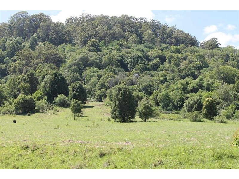 100 Bishops Creek Road, Coffee Camp NSW 2480