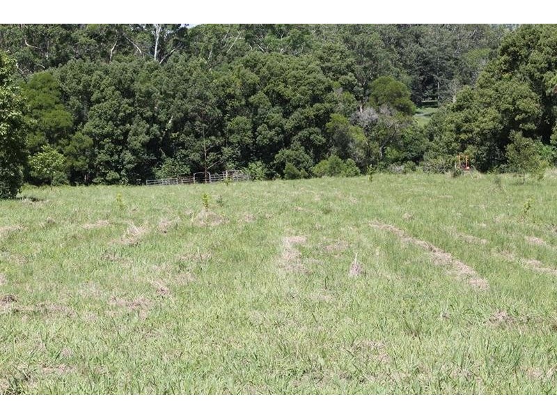 100 Bishops Creek Road, Coffee Camp NSW 2480