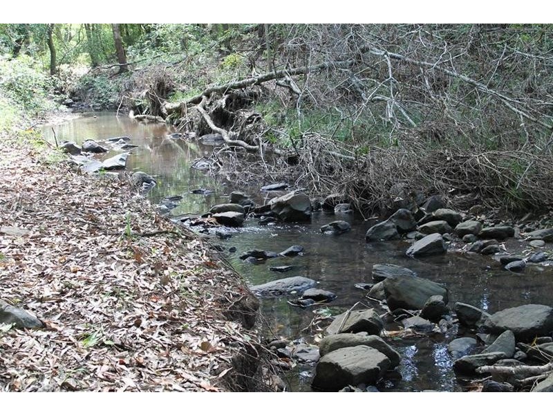 100 Bishops Creek Road, Coffee Camp NSW 2480