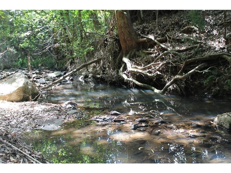 100 Bishops Creek Road, Coffee Camp NSW 2480