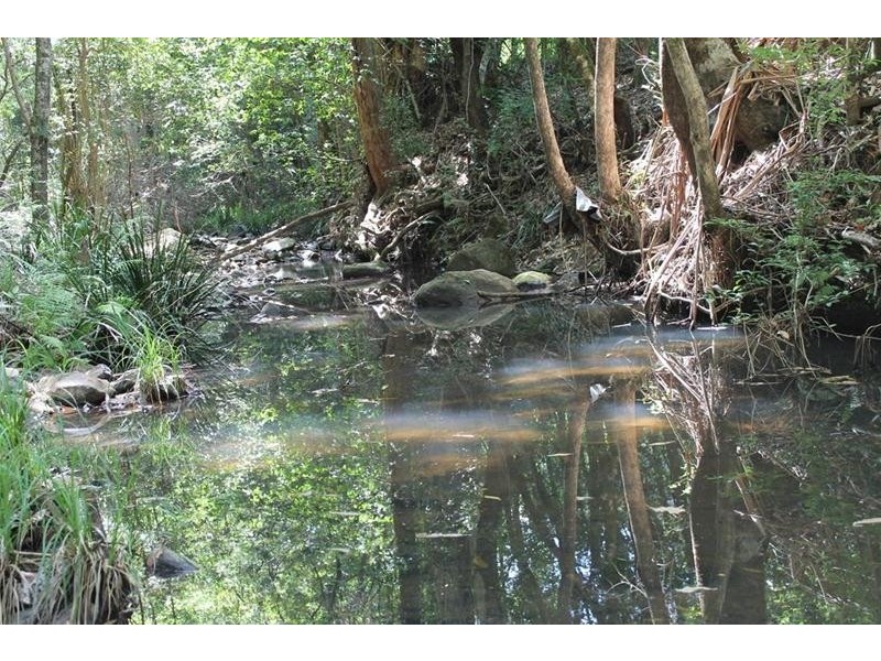 100 Bishops Creek Road, Coffee Camp NSW 2480