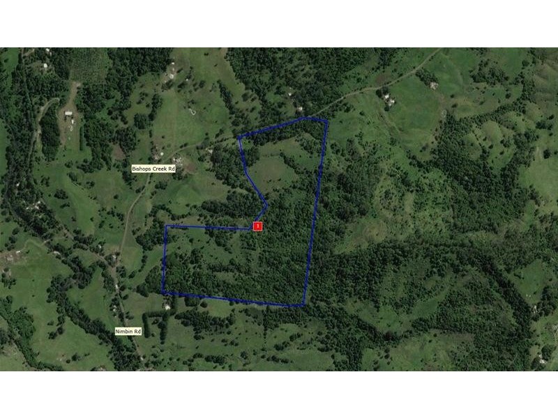 100 Bishops Creek Road, Coffee Camp NSW 2480