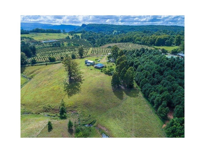 585  Mountain Top Road, Mountain Top NSW 2480