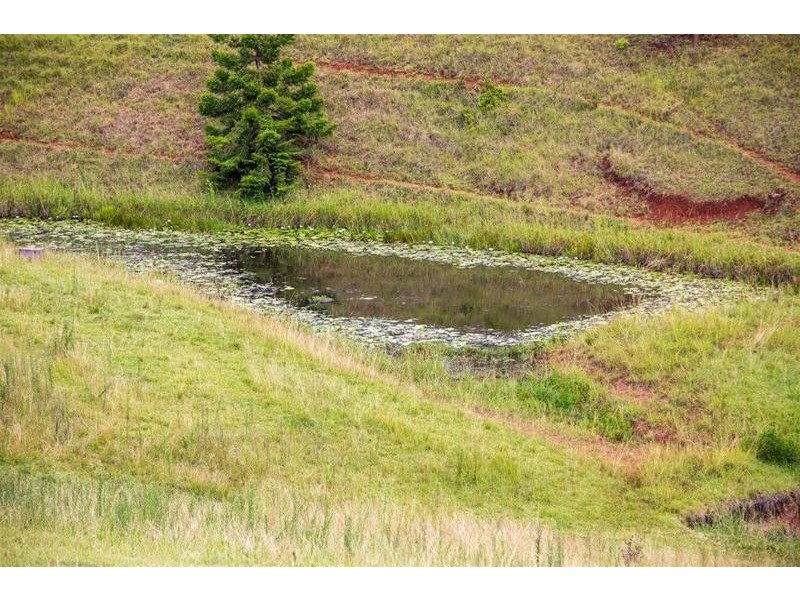 585  Mountain Top Road, Mountain Top NSW 2480