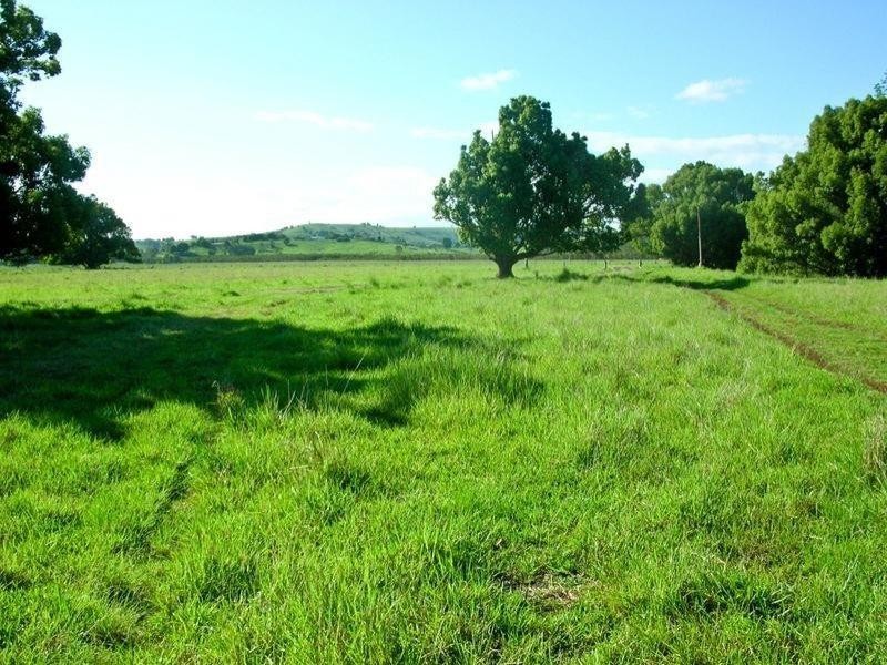 41 Eltham Road, Bexhill NSW 2480