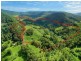 130 Lindsay Road, Larnook NSW 2480