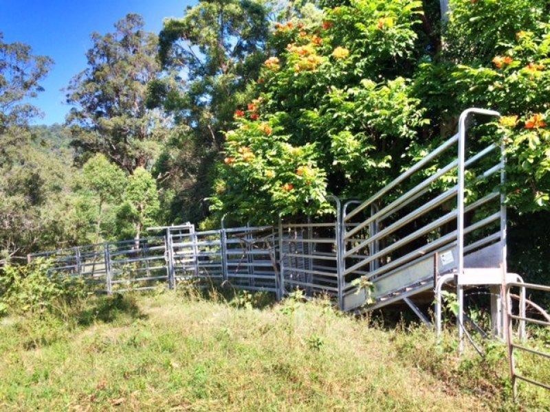 48 Kirkland Road, Nimbin NSW 2480