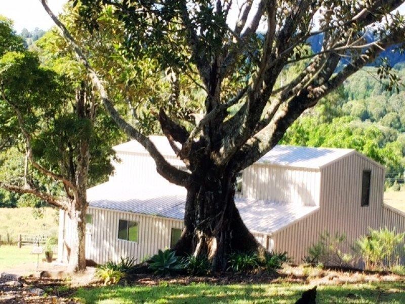 48 Kirkland Road, Nimbin NSW 2480