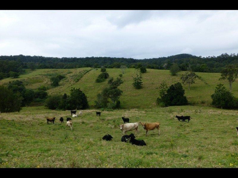 193 Billen Road, Georgica NSW 2480