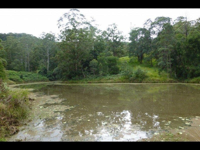 193 Billen Road, Georgica NSW 2480