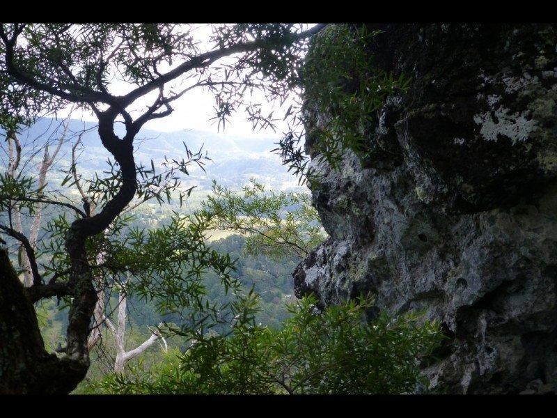 193 Billen Road, Georgica NSW 2480