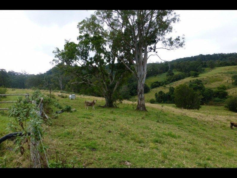 193 Billen Road, Georgica NSW 2480