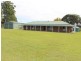 428 Myall Creek Road, Bora Ridge NSW 2471