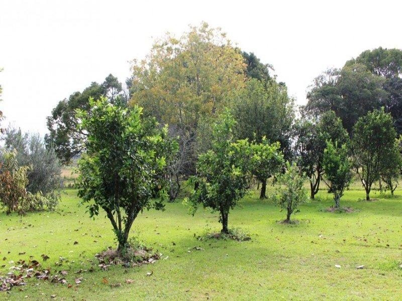 428 Myall Creek Road, Bora Ridge NSW 2471