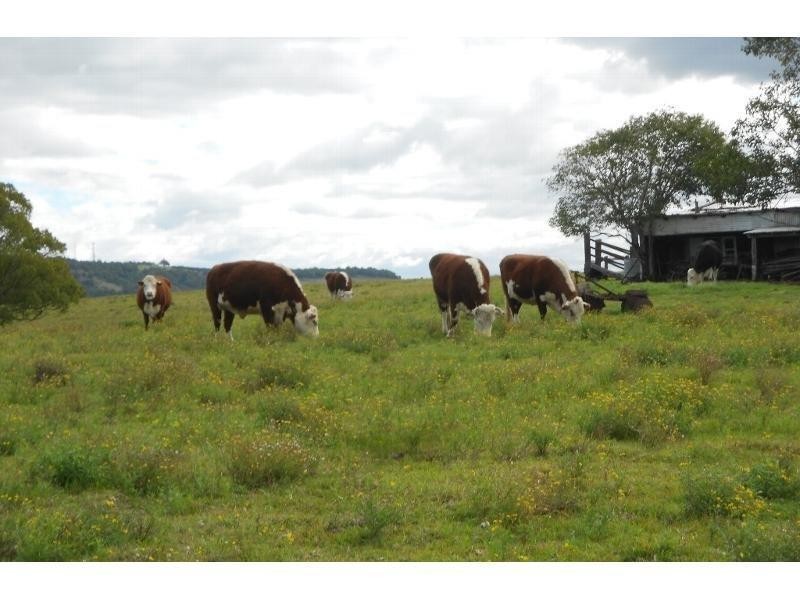 1A Vulcan Street, South Gundurimba NSW 2480