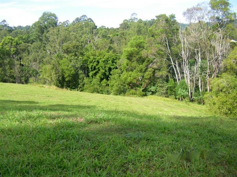 1 Tulsi Lane, Nimbin NSW 2480
