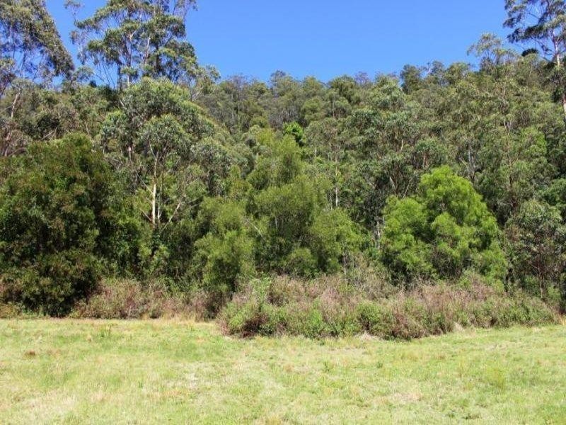 Lot 21 Babyl Creek Road, Babyl Creek NSW 2470