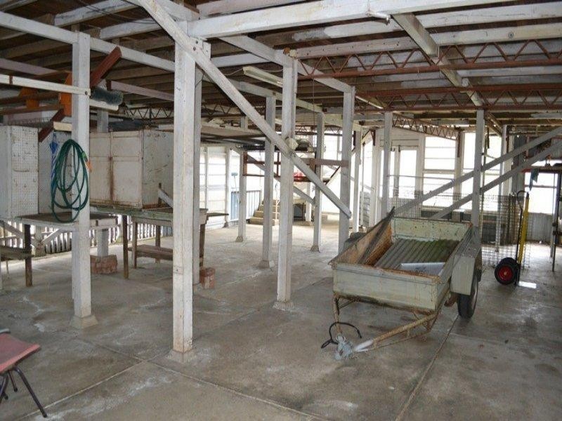 15 Ewing Street, Lismore NSW 2480