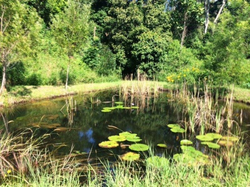 4/265 Martin Road, Larnook NSW 2480