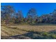 Lot/115 Tareeda Court, Spring Grove NSW 2470