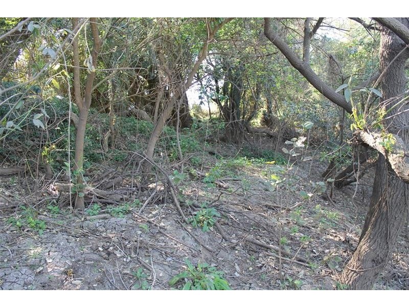 23 Sandy Point Road, Monaltrie NSW 2480