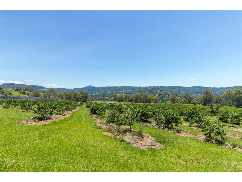 120 Gwynne Road, Jiggi NSW 2480