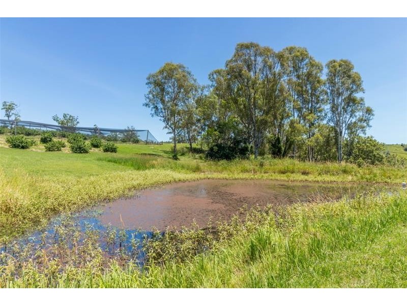120 Gwynne Road, Jiggi NSW 2480