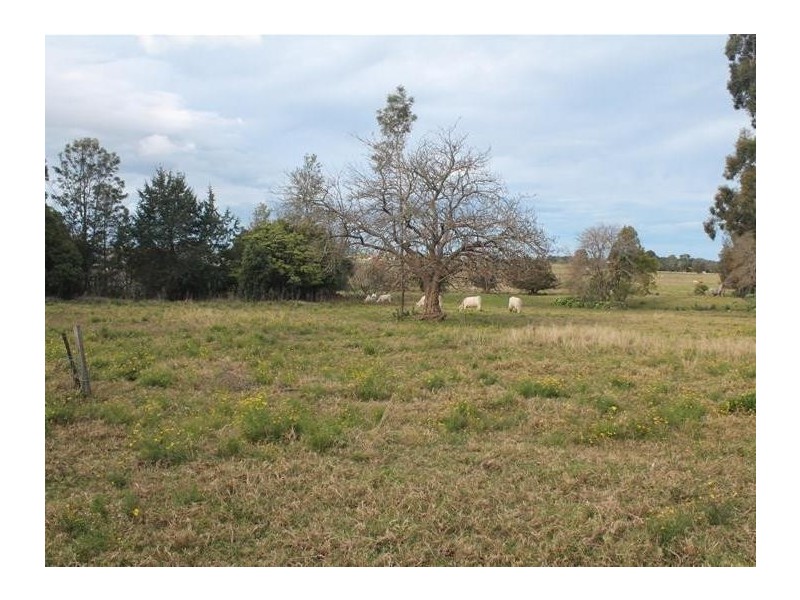 119 Douglas Street, Nowra NSW 2541