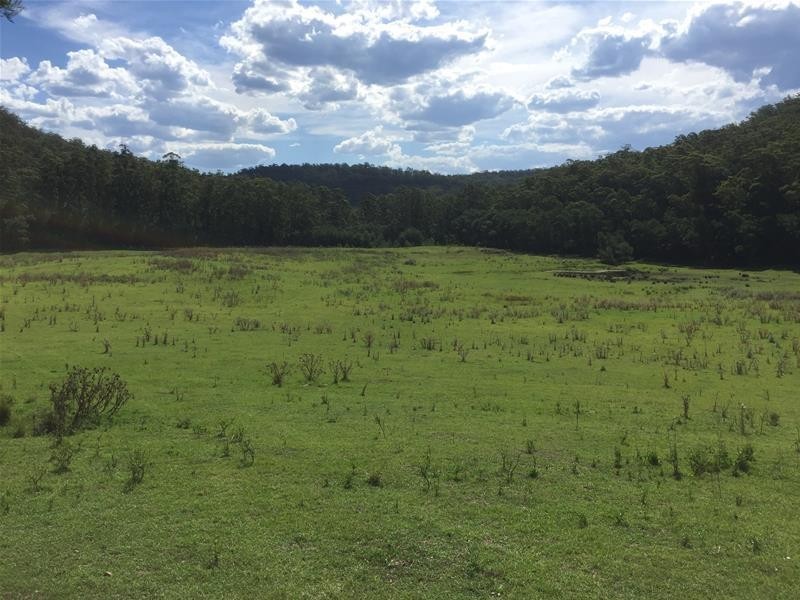 967 Yalwal Road, Bamarang NSW 2540